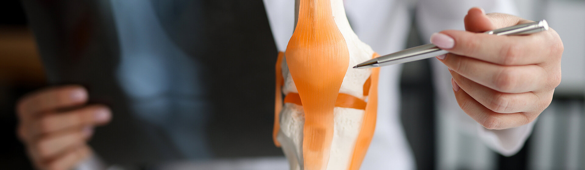 cartilage_damage_knee_joint_meniscus_cruciate_ligament_injuries_sports_injuries_knee_pain_Sports_clinic_Hellersen_